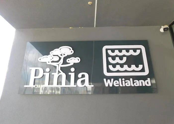 Pinia Slnava 01 - Luxury Lakeside With Pool アパート *